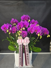 °¨»çÇÕ´Ï´Ù