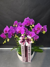 °¨»çÇÕ´Ï´Ù