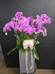 °¨»çÇÕ´Ï´Ù