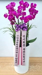 ±¸¸®Áß±¹È«