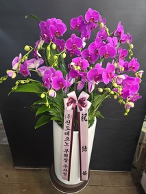 °¨»çÇÕ´Ï´Ù